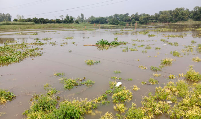 নিখোঁজের ২ দিনপর বদলগাছীতে মিলল শিশুর লাশ