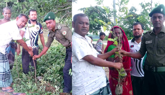 তানোরে আনসার প্লাটুন কমান্ডারের বৃক্ষরোপণ