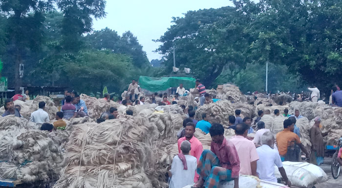 পুঠিয়ার হাটগুলোতে পাটের আমদানি বেশি