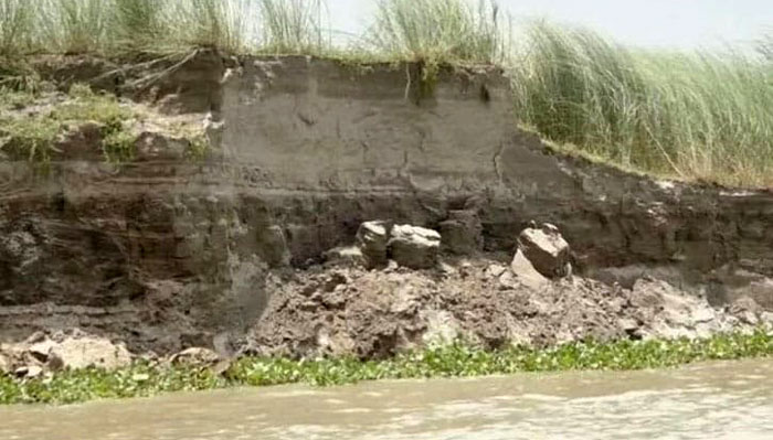 কুষ্টিয়ায় পদ্মায় ভাঙন, আতঙ্কে পাড়ের বাসিন্দারা