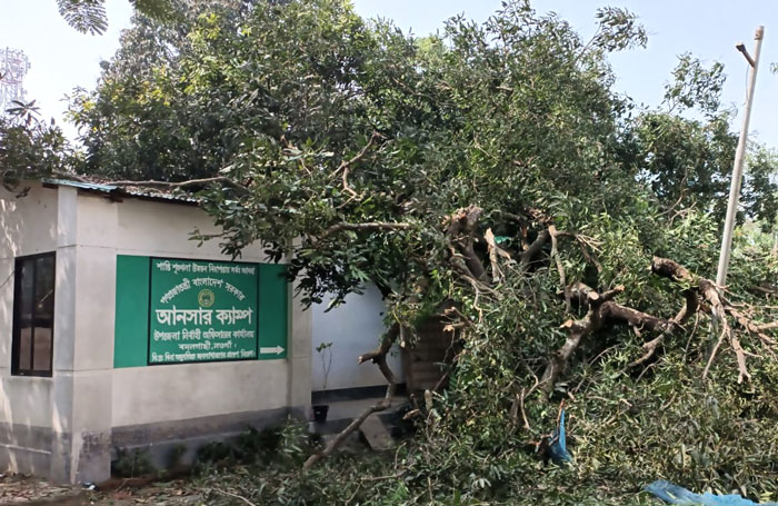 অসময়ের কালবৈশাখী ঝড়ে ফসল ও ঘরবাড়ির ব্যাপক ক্ষয়ক্ষতি