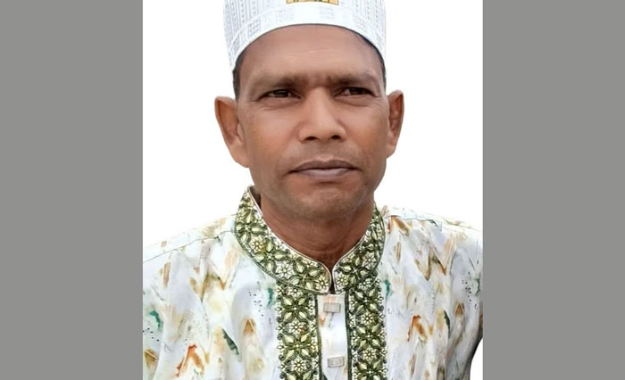 সিনিয়র সাংবাদিক মোজাহারুল ইসলাম