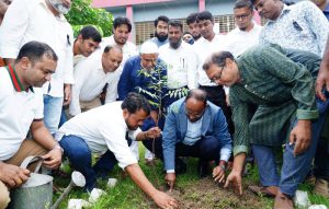 পবা উপজেলা পরিষদ চত্বরে প্রতিমন্ত্রীর বৃক্ষরোপণ