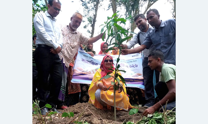 মান্দায় ডাসকো ফাউন্ডেশনের বৃক্ষরোপণ